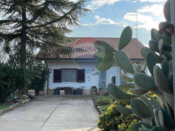 casa indipendente in vendita a Picciano in zona Pagliari