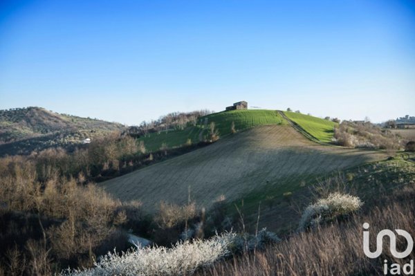 terreno agricolo in vendita a Picciano