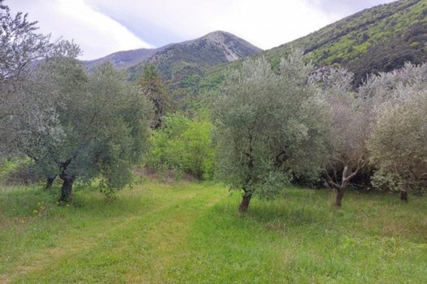 terreno agricolo in vendita a Popoli Terme