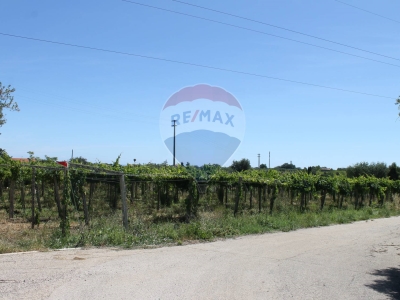 terreno agricolo in vendita a Popoli Terme