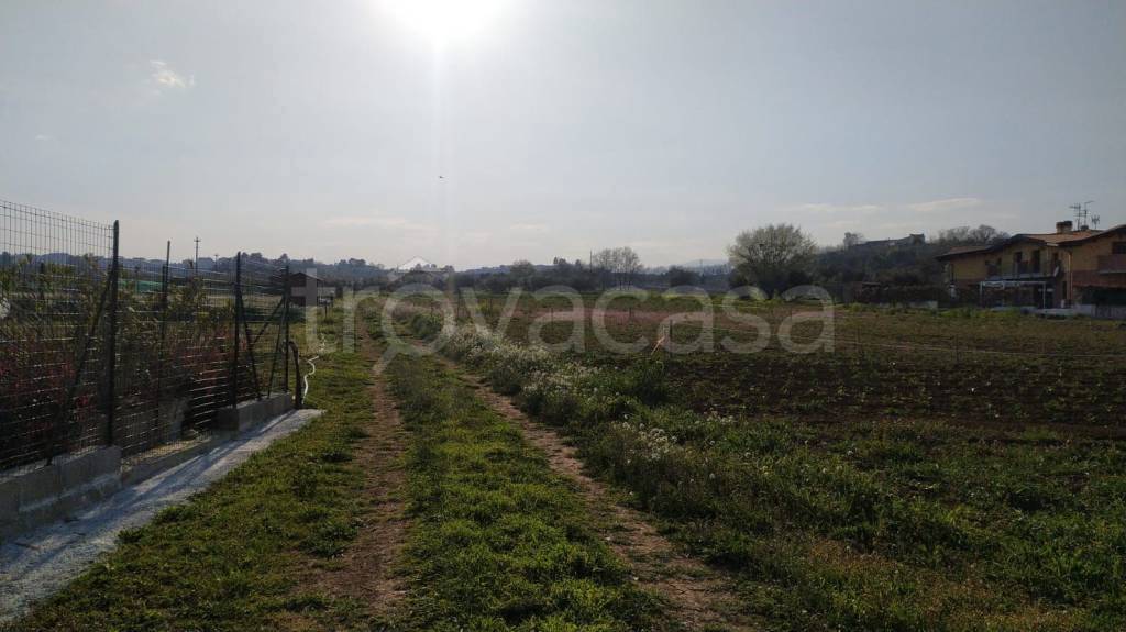 terreno agricolo in vendita a Rosciano
