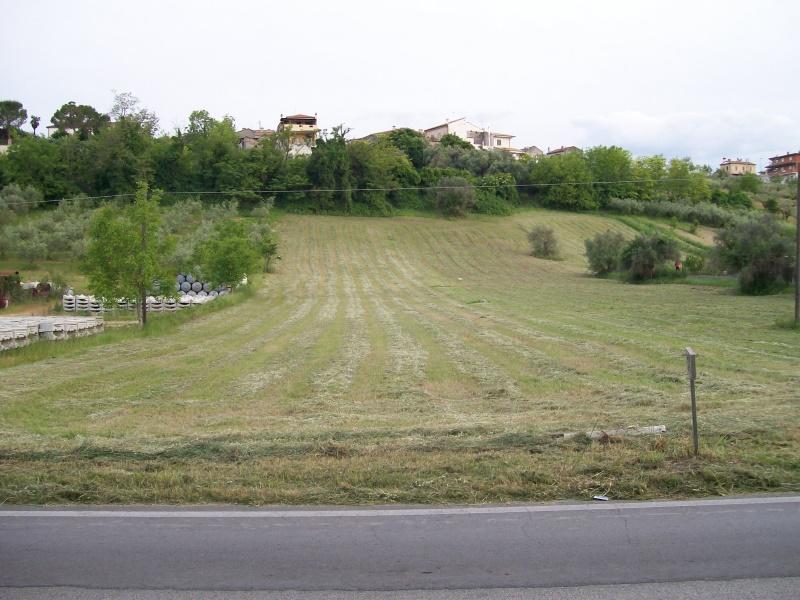 appartamento in affitto a Rosciano