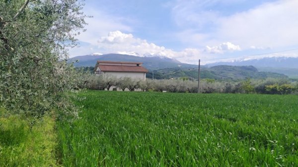 terreno edificabile in vendita a Rosciano