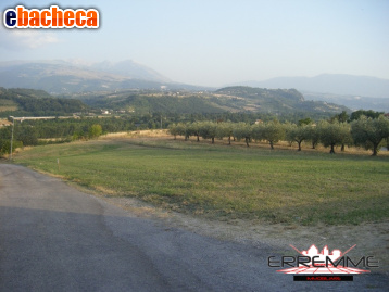 terreno edificabile in vendita a Rosciano