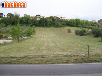 casa indipendente in vendita a Rosciano