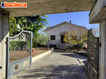 appartamento in vendita a Rosciano