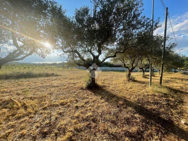 terreno agricolo in vendita a Rosciano