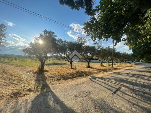 terreno agricolo in vendita a Rosciano