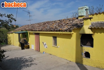 appartamento in vendita a Rosciano