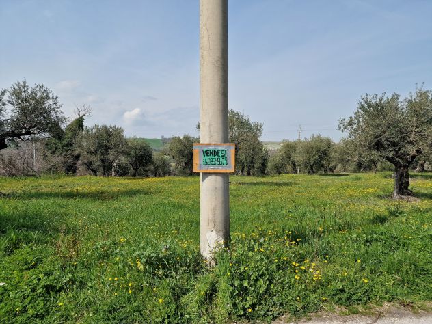 terreno edificabile in vendita a Rosciano