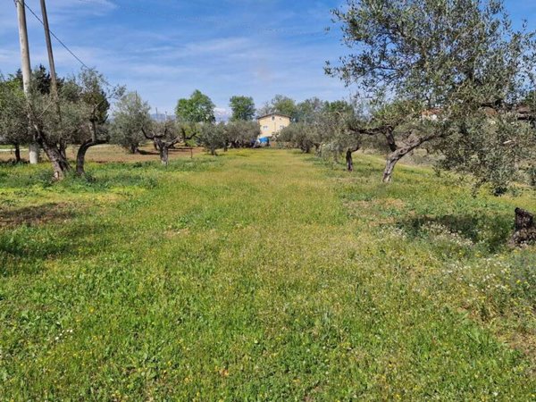 terreno edificabile in vendita a Rosciano