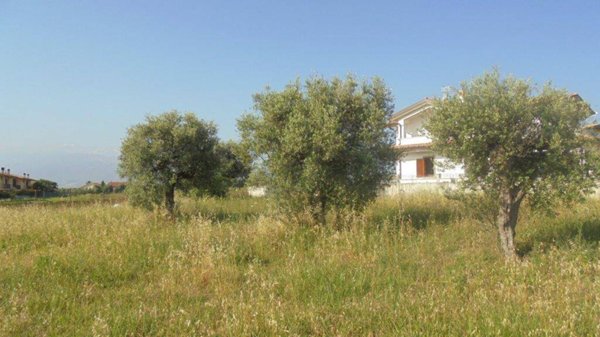 bifamiliare in vendita a Rosciano