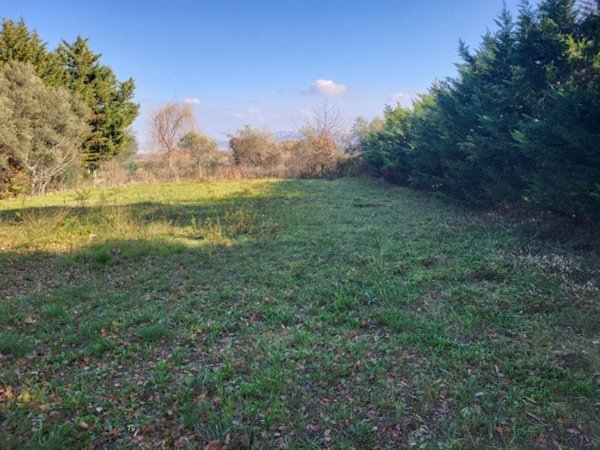 terreno in vendita a Rosciano