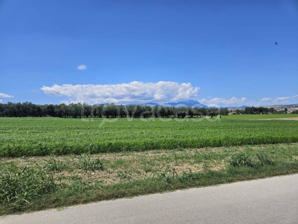 terreno agricolo in vendita a Rosciano