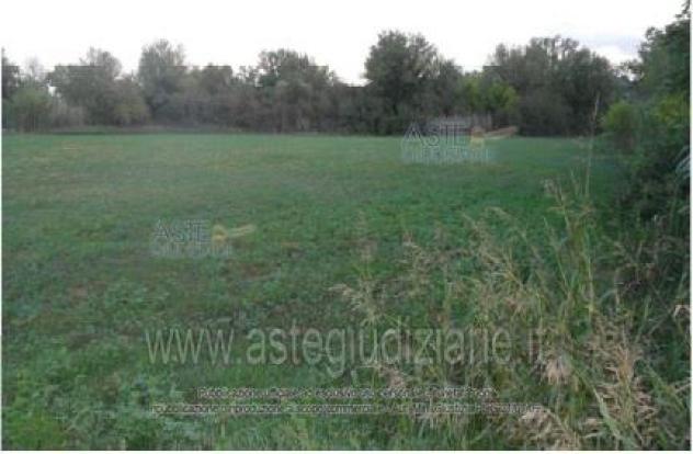 terreno agricolo in vendita a Rosciano