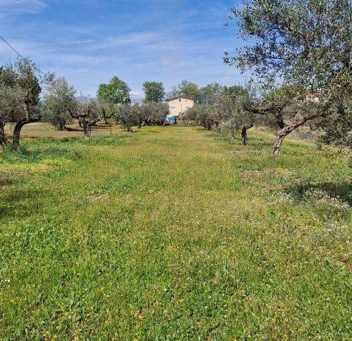 casa indipendente in vendita a Rosciano