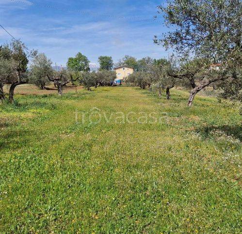 casa indipendente in vendita a Rosciano