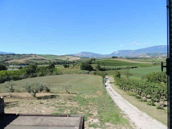 quadrivano in vendita a Rosciano