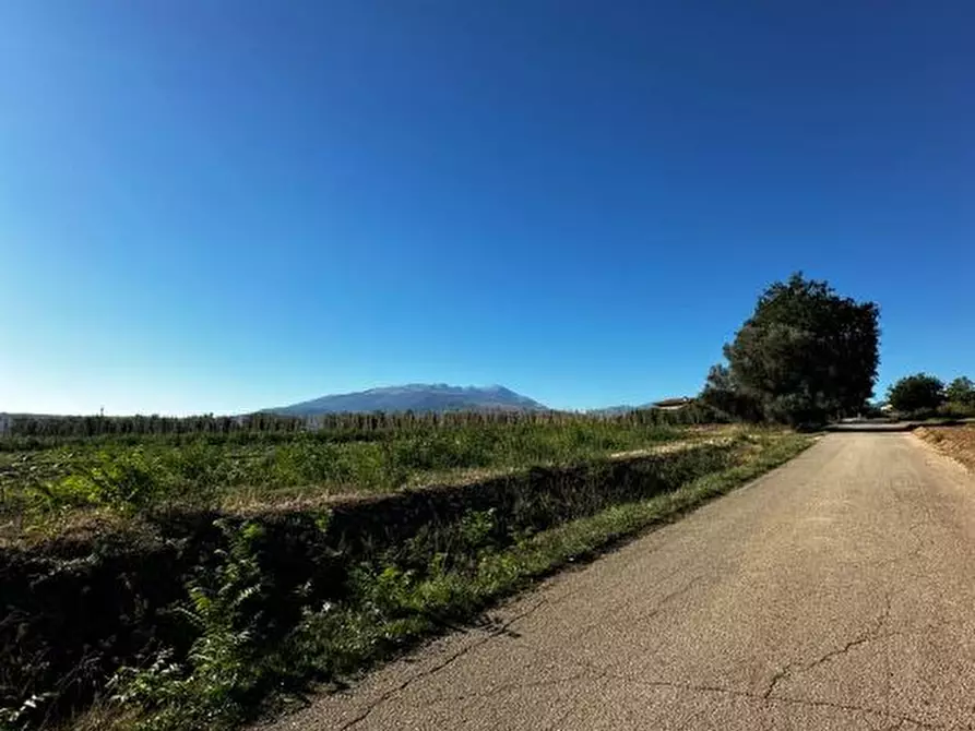 casa indipendente in vendita a Rosciano