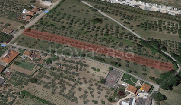 terreno agricolo in vendita a Rosciano