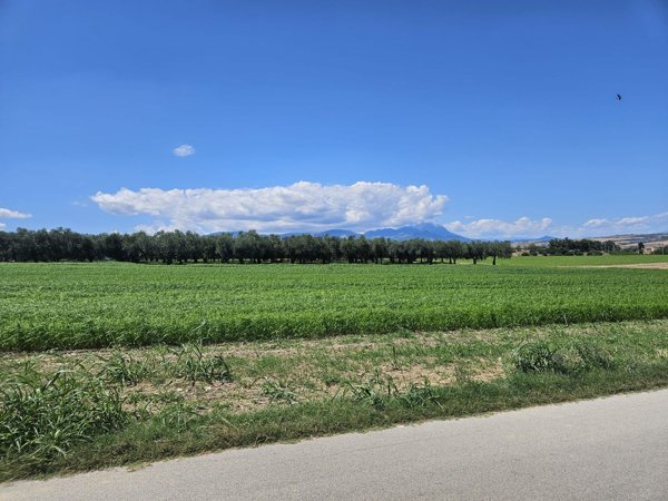 terreno edificabile in vendita a Rosciano