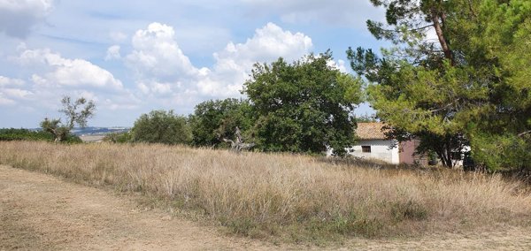 casa indipendente in vendita a Rosciano
