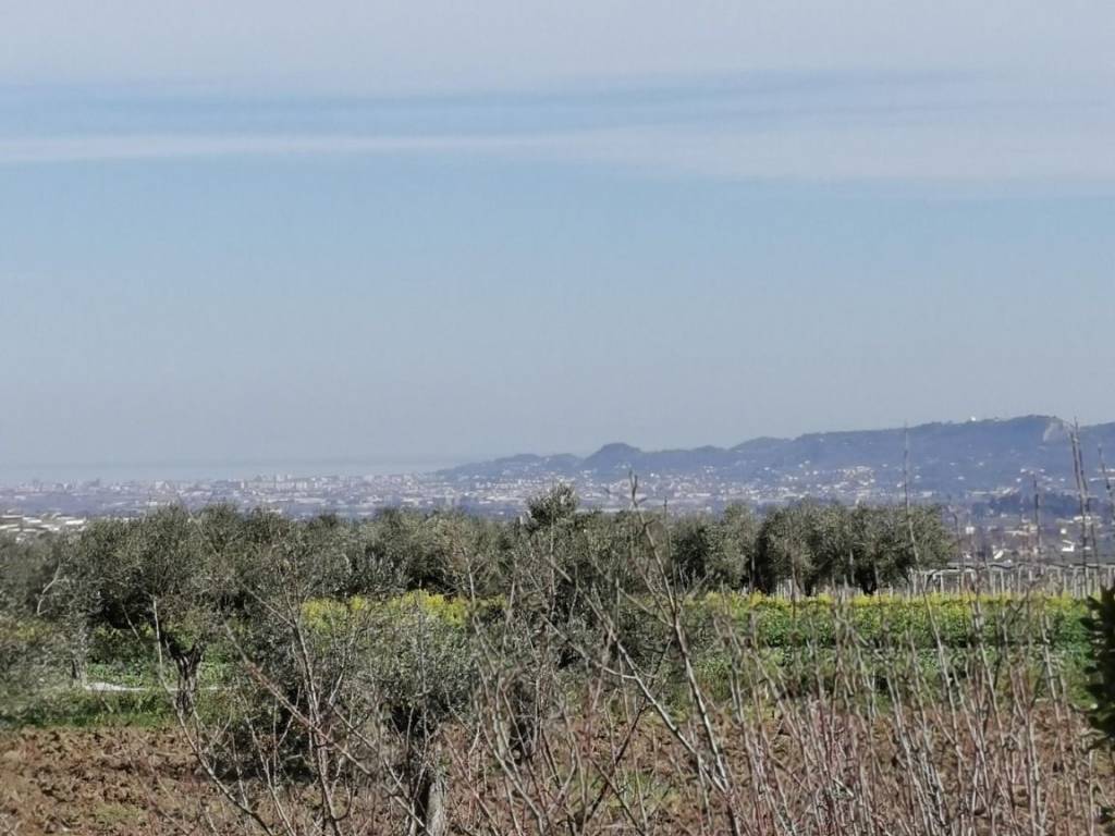 casa indipendente in vendita a Rosciano