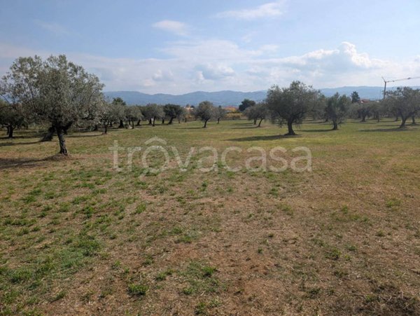 casa indipendente in vendita a Rosciano