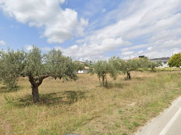 terreno agricolo in vendita a Rosciano