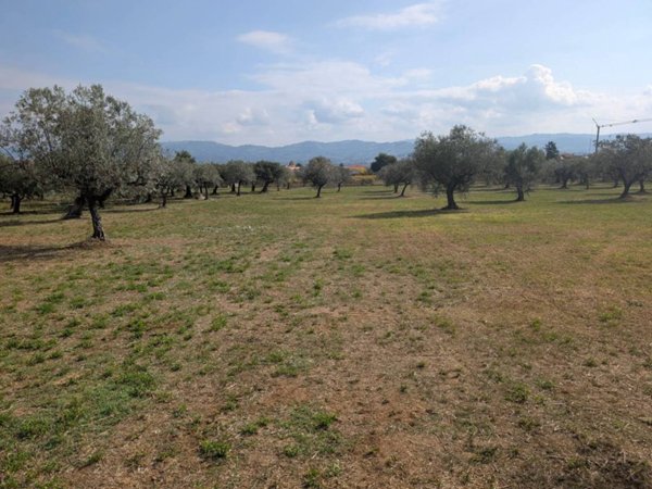 casa indipendente in vendita a Rosciano