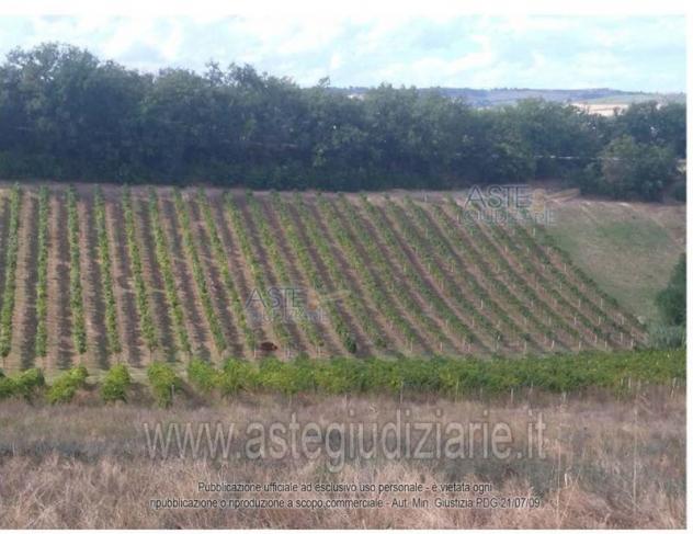 terreno edificabile in vendita a Rosciano