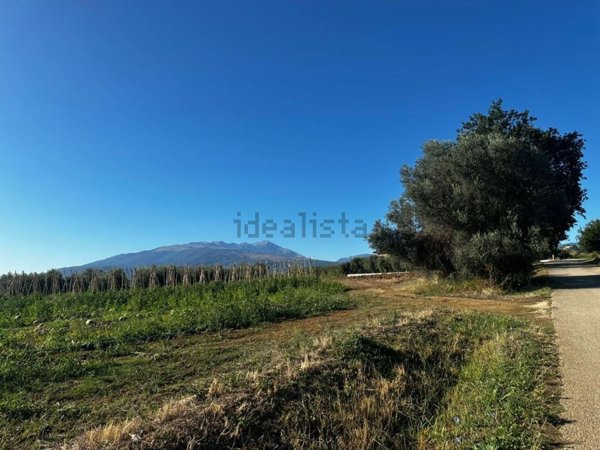 casa indipendente in vendita a Rosciano
