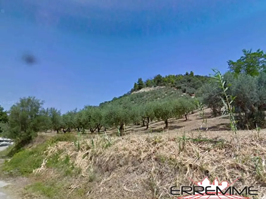 terreno edificabile in vendita a Rosciano