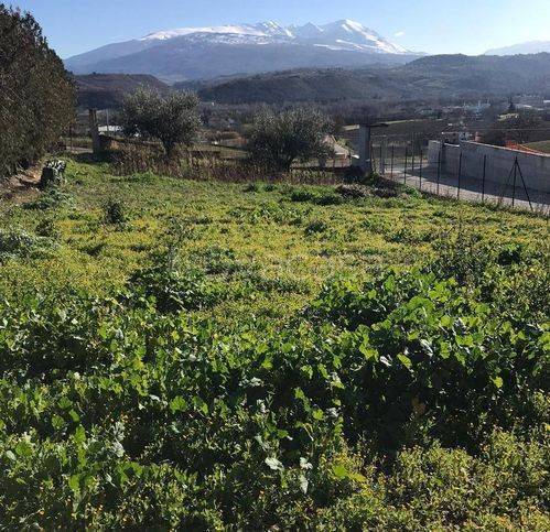 casa indipendente in vendita a Rosciano