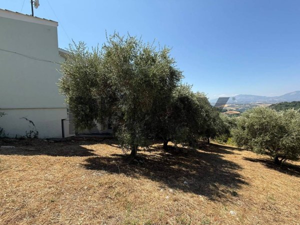 negozio in vendita a Rosciano
