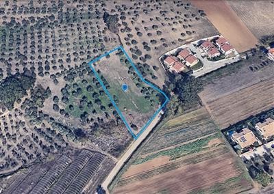 casa indipendente in vendita a Rosciano