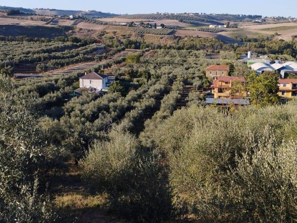 terreno in vendita a Rosciano