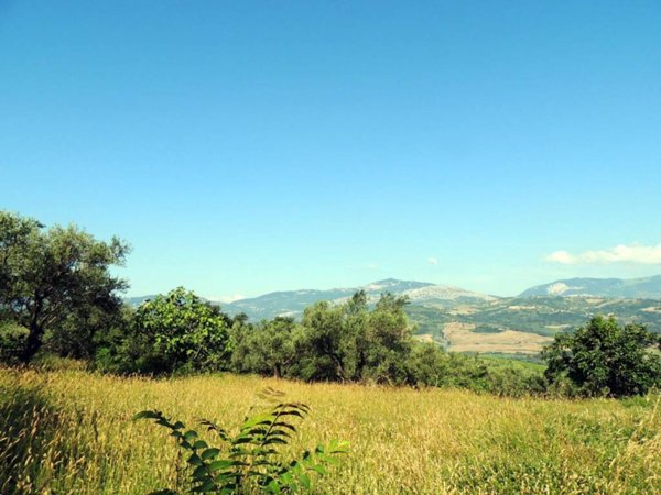 terreno agricolo in vendita a Scafa