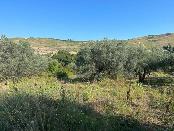 terreno agricolo in vendita a Scafa