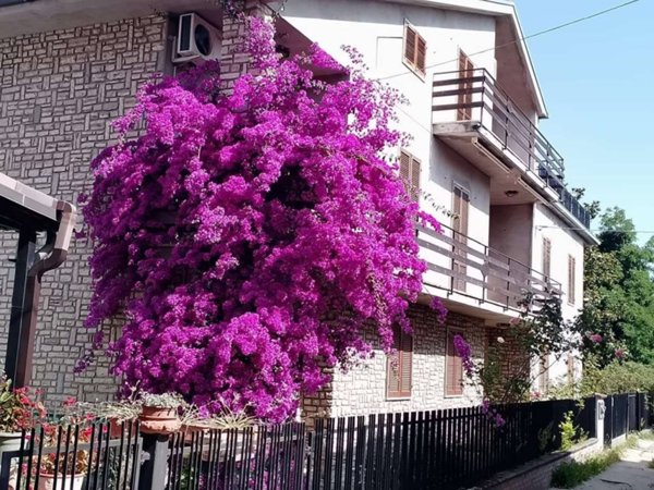 casa indipendente in vendita a Scafa