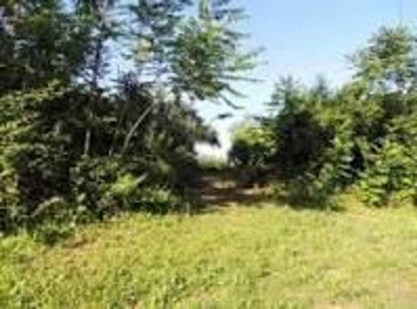 negozio in vendita a Scafa in zona Marulli