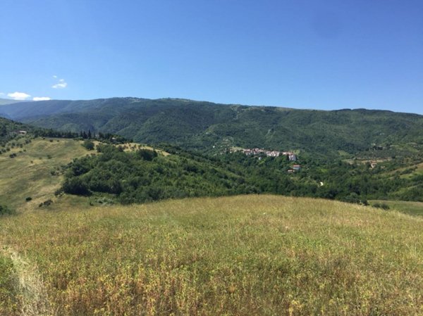 terreno agricolo in vendita a Serramonacesca