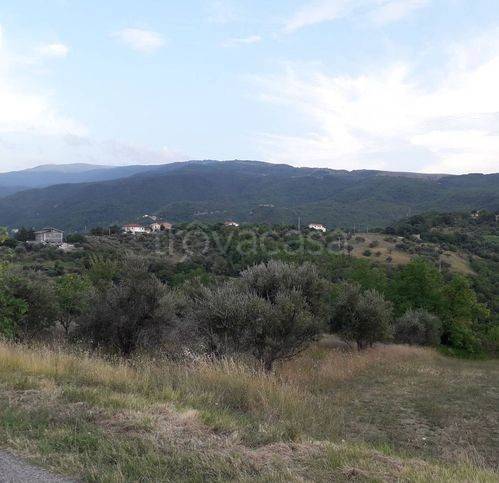 terreno agricolo in vendita a Serramonacesca