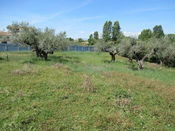 terreno agricolo in vendita a Spoltore in zona Santa Teresa