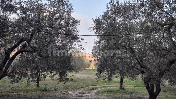terreno edificabile in vendita a Spoltore in zona Pescarina