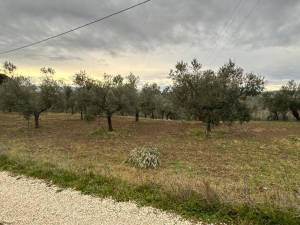 terreno agricolo in vendita a Spoltore