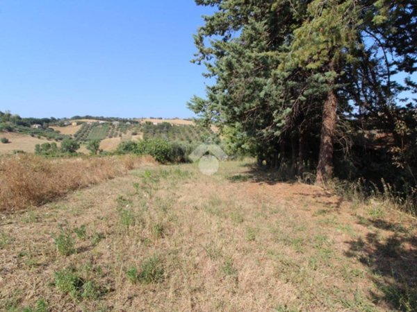 casa indipendente in vendita a Spoltore in zona Pescarina