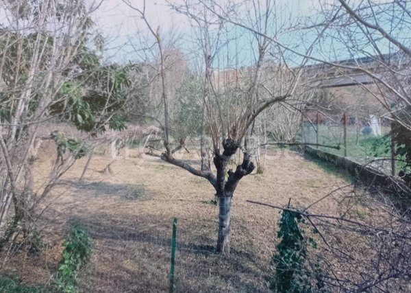 terreno agricolo in vendita a Spoltore