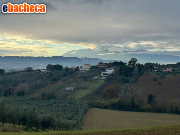 terreno agricolo in vendita a Spoltore