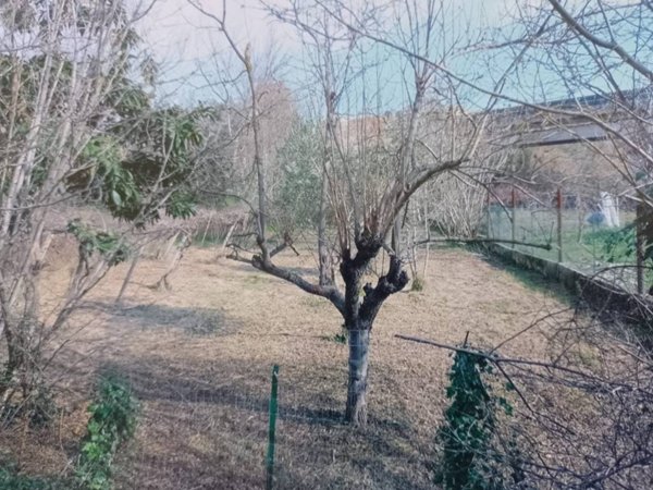terreno agricolo in vendita a Spoltore